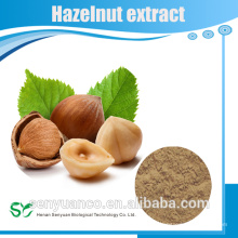 Hazelnut powder/Corylus chinensis extract